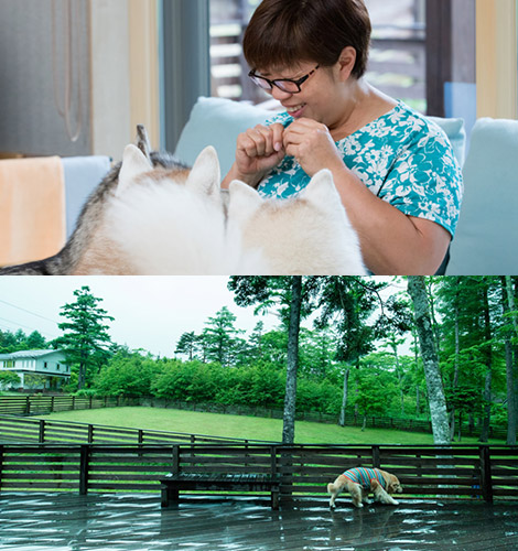 いつでも愛犬と遊びに行ける場所がある、という贅沢