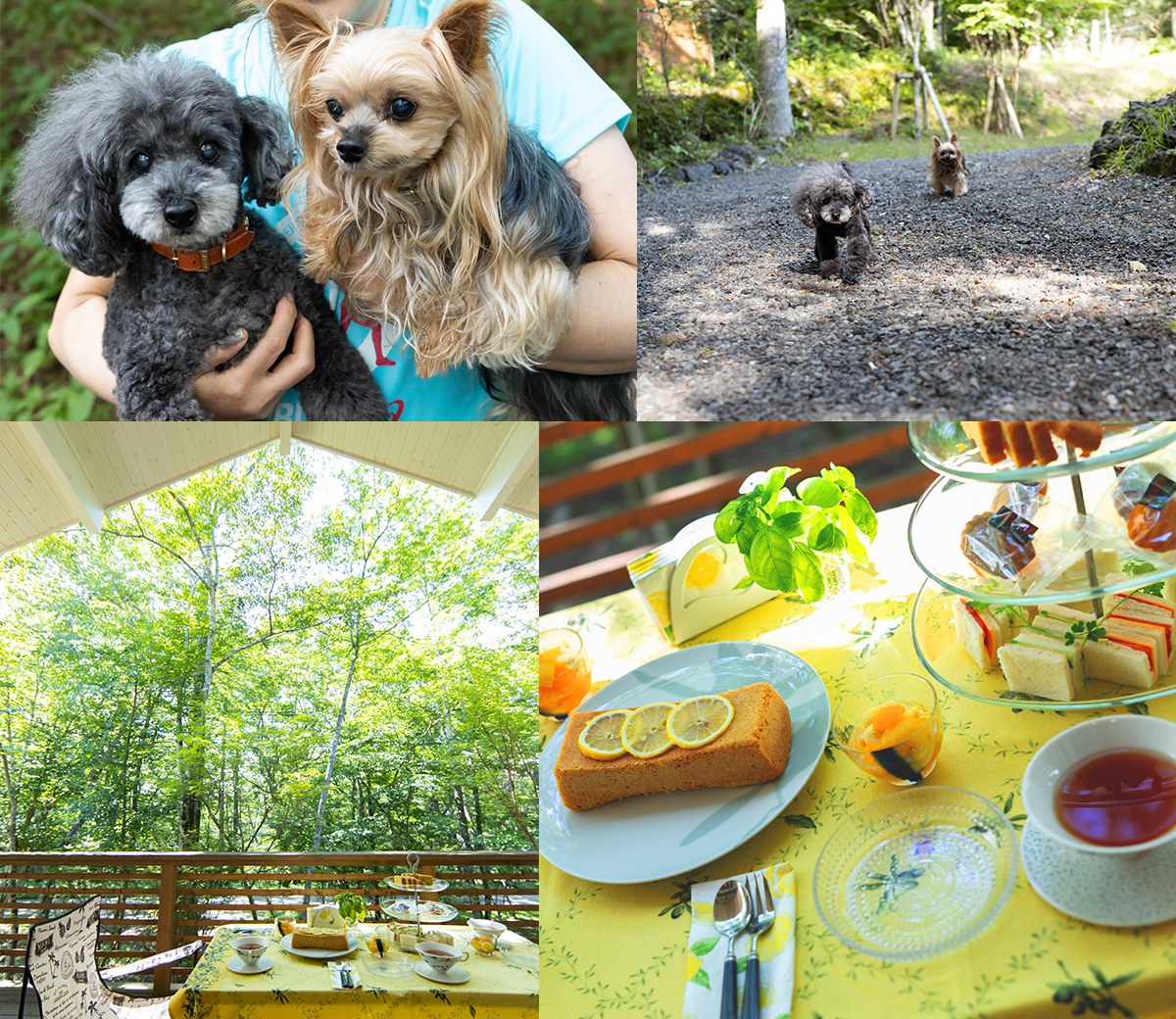 愛犬家のご近所さんや地元の方との交流も楽しい