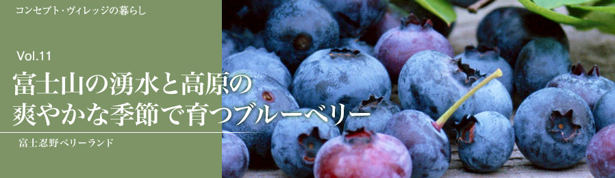 Vol.11　富士山の湧水と高原の 爽やかな季節で育つブルーベリー｜暮らし｜ライフスタイル&グルメ紹介｜富士山・山中湖の別荘ならフジヤマスタイル