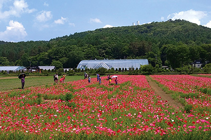 花の都公園