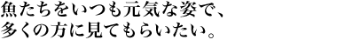 魚たちをいつも元気な姿で、多くの方に見てもらいたい。