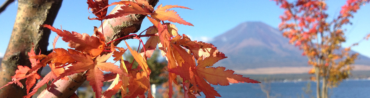 Mt.Fuji vacation house (Lake Yamanaka and Jurigi) Fujiyama Style [Fujikyuko]