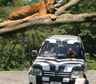 Fuji Safari Park