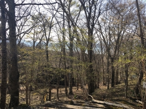 【湖畔眺望】落葉期は山中湖を望む別荘用地（富士月見丘2丁目163番地）